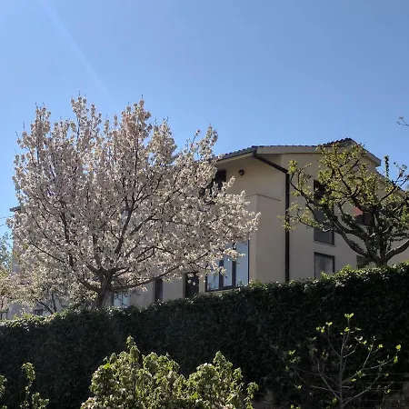 Apartment Apt With Parking Green Grass Of