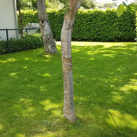Apt With Parking Green Grass Of Apartment Split